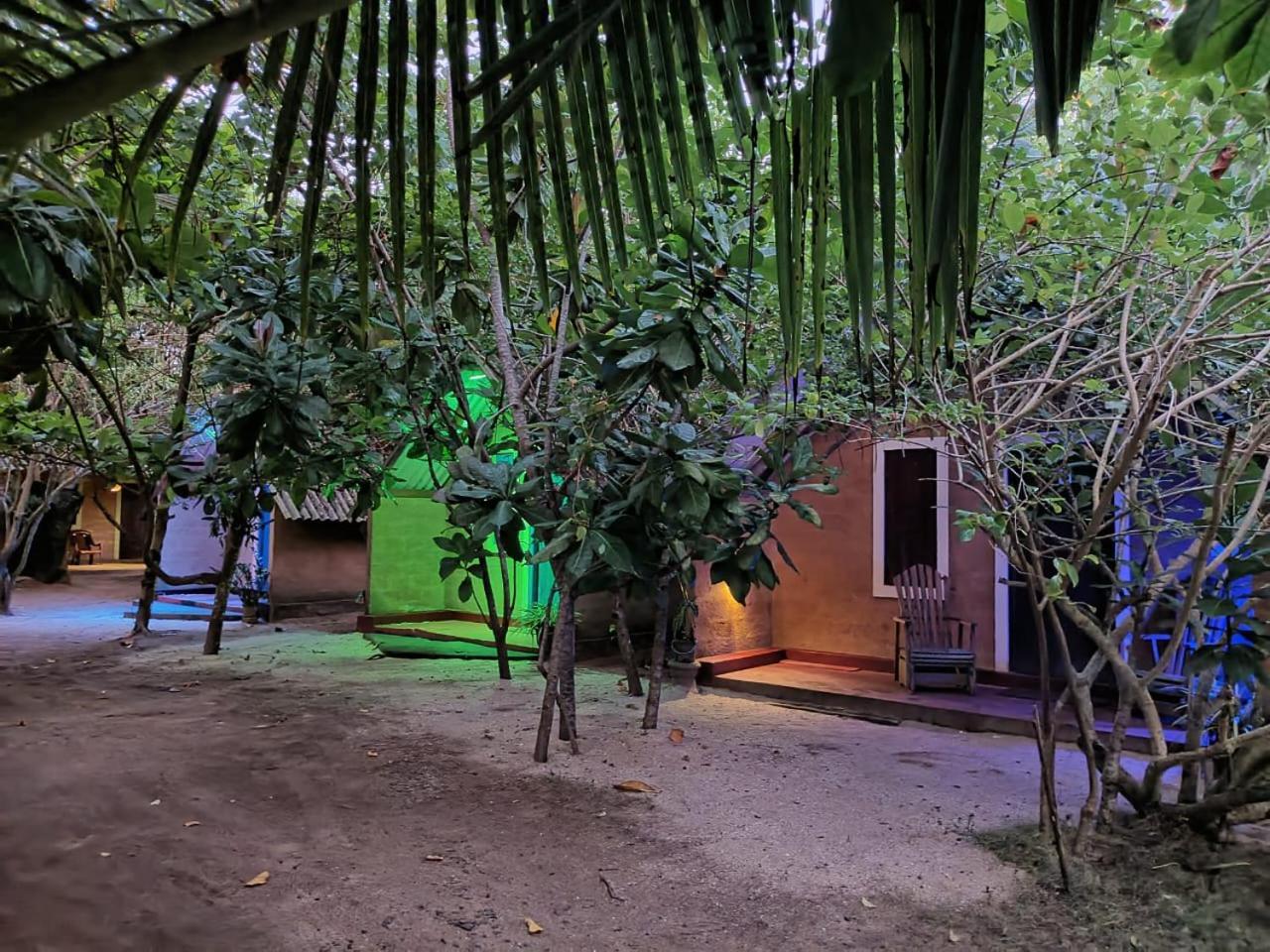 By The C' Cabanas Hikkaduwa Extérieur photo